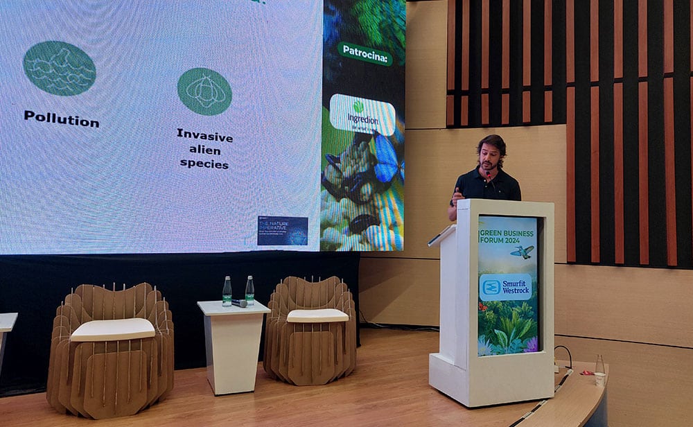 Guilherme Suertegaray